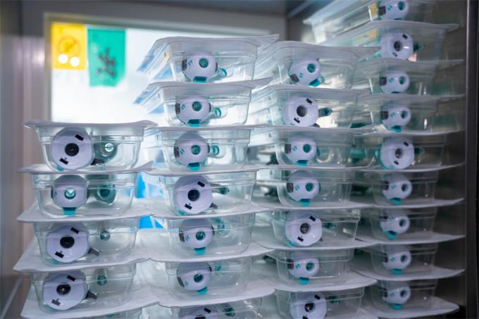 Πιστοποιημένο CE 12mm τύπου Hasson Disposable Trocar Για Λαπαροσκοπική Χειρουργική Χειρουργική Ιατρική 5