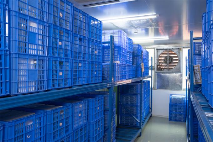 Το προσαρμοσμένο CE χαρακτήρισε 12mm μίας χρήσης Hasson Trocar για τη χειρουργική επέμβαση Laparoscopic 7